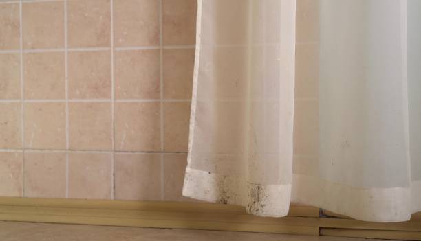 Best Mold Remediation for Rental Properties  in Clearlake Oaks, CA