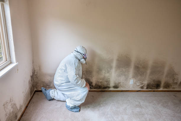 Best Crawl Space Mold Remediation  in Clearlake Oaks, CA