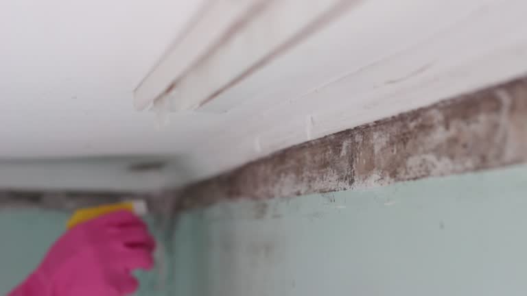 Best Real Estate Mold Inspection  in Clearlake Oaks, CA